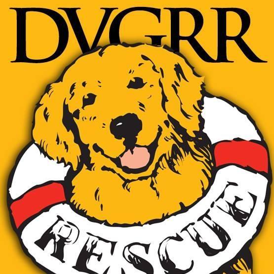 Delaware Valley Golden Retriever Rescue, Inc. (Reinholds, Pennsylvania) logo golden retriever with lifesaving ring around neck
