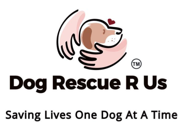 Dog Rescue R Us (Midland, Texas) logo with arms around tan dog with organization name below