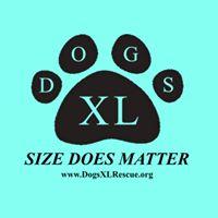 Dogs XL Rescue (Baltimore, Maryland) logo blue background, black paw print with "DOGS X" in it & "size does matter"