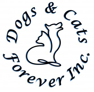 Dogs and Cats Forever (Santa Barbara, California) logo with outline of cat and dog