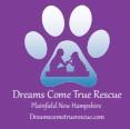 Dreams Come True Rescue Corp, (Plainfield, New Hampshire), logo silhouette of seated woman and dog touching arms inside of blue pawprint on purple background