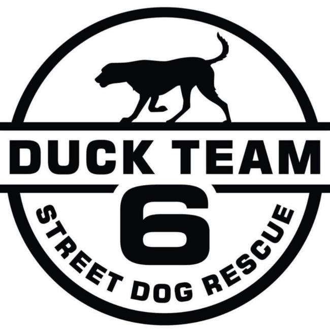 Duck Team 6, (Dallas, Texas), logo black dog in black circle with black text
