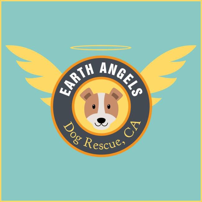 Earth Angels Rescue (Brooklyn, New York) logo dog head in angel wings and halo
