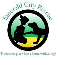 Emerald City Rescue Inc (Wantage, New Jersey) logo of little girl and dog in green/yellow circle