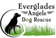 Everglades Angels Dog Rescue Inc, (Pompano Beach, Florida), logo drawing of black dog sitting in green grass