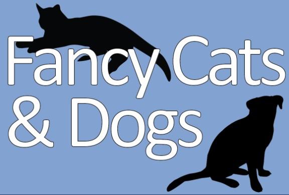 Fancy Cats & Dogs Rescue Team, (Fairfax, Virginia), logo black cat and dog with white text on light blue background