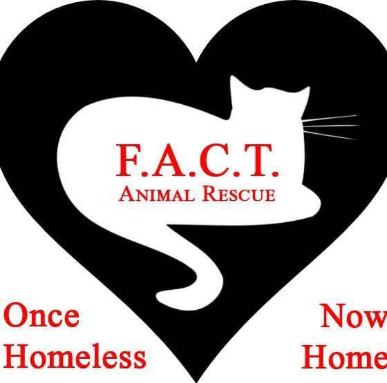 F.A.C.T., Inc. (Queensbury, New York) logo cat in heart once homeless now home