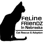 Feline Friendz in Nebraska (Omaha, Nebraska) logo with black cat