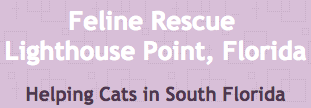 Feline Rescue (Lighthouse Point, Florida) logo of name, tagline Helping Cats in South Florida on purple background