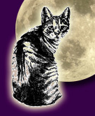 Feral Cat Coalition (San Diego, California) logo of cat with moon background