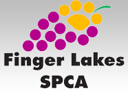 Finger Lakes SPCA (Bath, New York) logo has a yellow paw print and purple dots that form a bunch of grapes