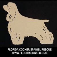 Florida Cocker Spaniel Rescue (Land O'Lakes, Florida) logo with cocker spaniel