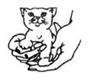 Friends of Cats (El Cajon, California) logo has hands holding a kitten