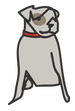 Friends with Four Paws (Oklahoma City, Oklahoma) logo has a grey dog with a red collar