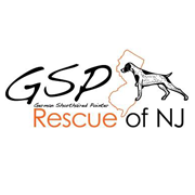 German Shorthaired Pointer Rescue of NJ (Oak Ridge, New Jersey) logo