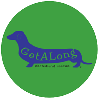 GetALong Dachshund Rescue (Fort Walton Beach, Florida) logo