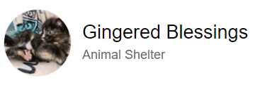 Gingered Blessings Animal Rescue, (Bosque Farms, New Mexico) logo cat in circle with black text