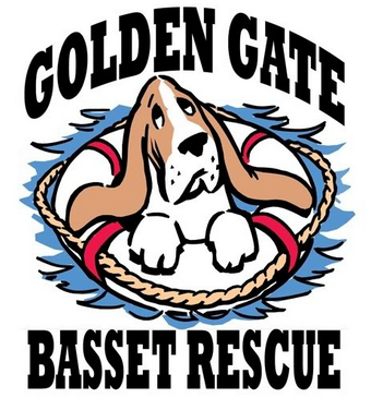 Golden Gate Bassett Rescue (Petaluma, California) logo has a basset hound in a life preserver