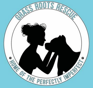Grass Roots Rescue Society (Milton, Delaware) logo light blue backdrop black double circle with black lettering inside black silhouette of woman and dog with hands lovingly on dogs face
