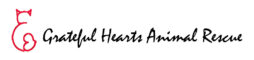 Grateful Hearts Animal Rescue (Queen Creek, Arizona) logo is red outline of cat with heart on tail to the left of org name