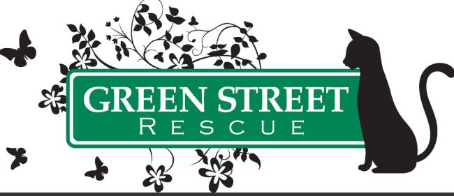 Green Street Rescue (GSR), (Philadelphia, Pennsylvania), logo green street sign with white text in front of black leaves and butterflies and next to black cat