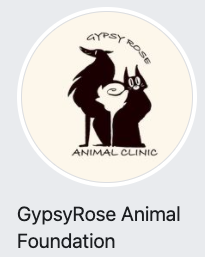 Gypsy Rose Animal Clinic, (Clayton, New Jersey), logo circle with dog and cat silhouettes with name above and below animals