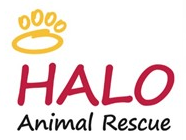 HALO Animal Rescue (Phoenix, Arizona) logo with Gold paw print; HALO is an acronym that stands for Helping Animals Live On