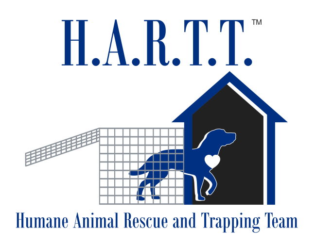 HARTT, Inc., Phoenix, Arizona