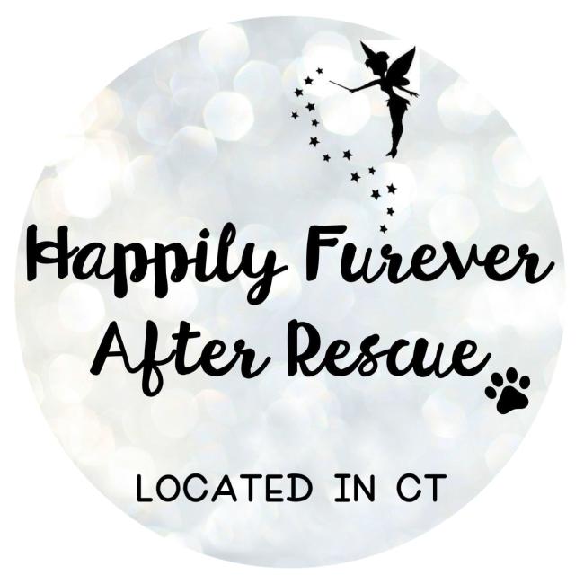 Happily Furever After Rescue Inc. (Bethel, Connecticut) logo backdrop of unfocused pastel light refractions black cursive lettering with small paw print at the end black silhouette of a fairy with wand and star fairy dust hovering over lettering