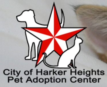 Harker Heights Pet Adoption Center (Harker Heights, Texas) logo is red and white star with white dog behind and cat in front
