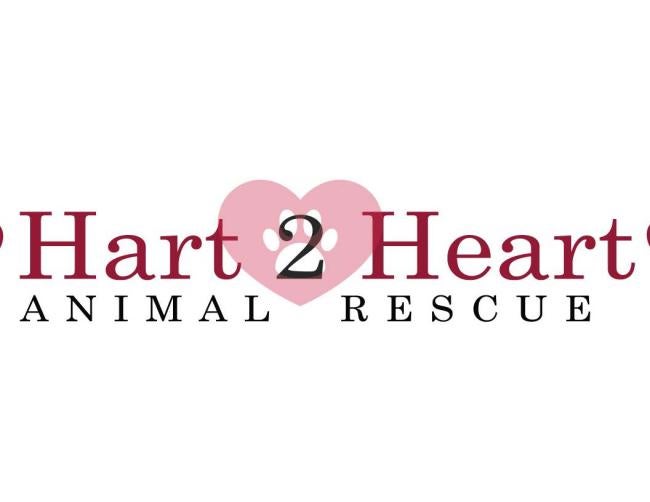 Hart 2 Heart Animal Rescue (Philadelphia, Pennsylvania) logo shaded red heart in middle of lettering with paw print and number 2