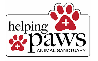 Helping Paws Animal Sanctuary, (Saint James City, Florida) logo 2 ref paws with black text on white