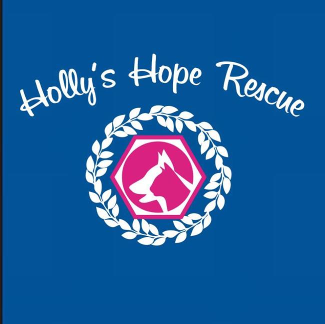 Holly's Hope Rescue, (Buda, Texas), logo pink cat head in front of white dog head in front of pink circle and hexagon surrounded by white laurels with white text