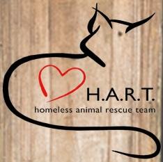 Homeless Animal Rescue Team (Cambria, California) logo has the outline of a cat with a red heart next to the org name