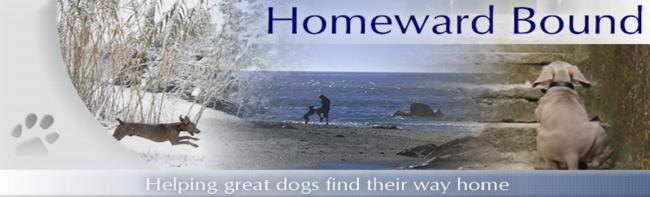 Homeward Bound Dog Rescue of NY, (Lenoir City, Tennessee), logo three photos blending into each other, one of a dog running in the snow, one of a dog playing with a person on a shore and one of a dog sitting on stairs