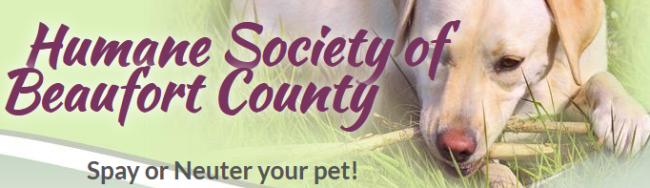 Humane Society of Beaufort County (Washington, North Carolina) logo foreground purple lettering yellow lab in background