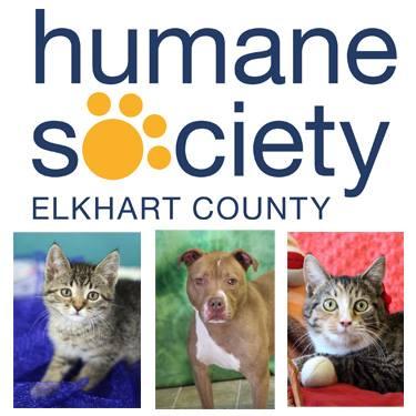 Humane Society of Elkhart County (Bristol, Indiana) logo dog and cat photos