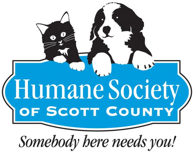 Humane Society of Scott County (Davenport, Iowa) logo drawn black and white kitten and puppy with their paws over a bright light blue sign with white lettering