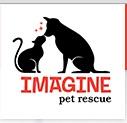 Imagine Pet Rescue (Savannah, Georgia) logo has profiles of a dog and cat sitting facing each other and touching noses