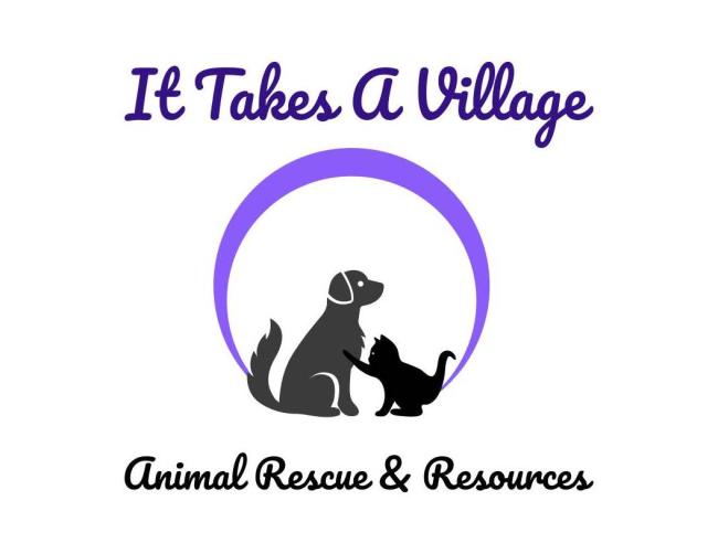 It Takes A Village Animal Rescue & Resources (Muscstine, Iowa) logo purple lettering across top purple circle outline with grey silhouette of dog black silhouette of cat black lettering across bottom 
