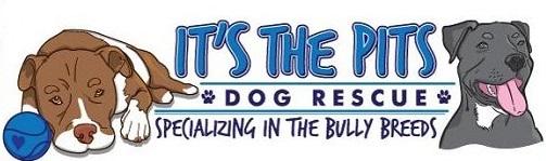 It's The Pits (San Diego, Florida) logo of pit bulls, paws, ball, bully breeds, dog rescue