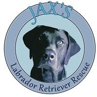 Jax's Labrador Retriever Rescue