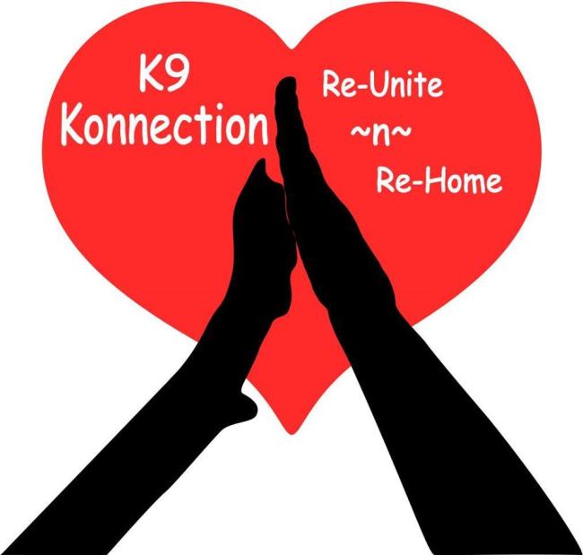 K9 Konnection (Wickenburg, Arizona) logo dog paw and human hand touching in heart