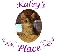 Kaley's Place (Fate, Texas) logo photo of kitten in oval frame