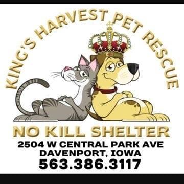 Kings Harvest Pet Rescue (Davenport, Iowa) logo dog in crown and cat