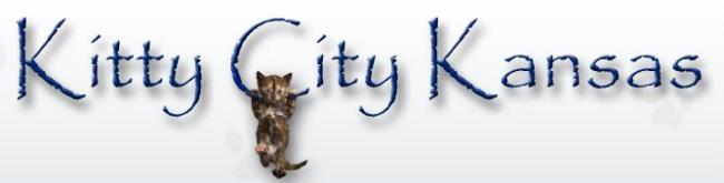 Kitty City Kansas Rescue (Lenexa, Kansas) logo of Kitty City Kansas Rescue text and cat