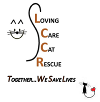 Loving Care Cat Rescue (Lewistown, Pennsylvania) logo