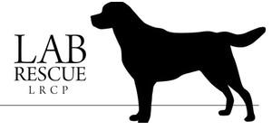 Lab Rescue of the L.R.C.P., (Annandale, Virginia), logo black Labrador with black text