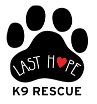 Last Hope K9 Rescue (Boston, Massachusetts) logo of paw, heart and Last Hope K9 Rescue text