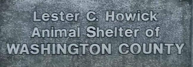 Lester C. Howick Animal Shelter of Washington County, (Fayetteville, Arkansas) logo text grey on grey background